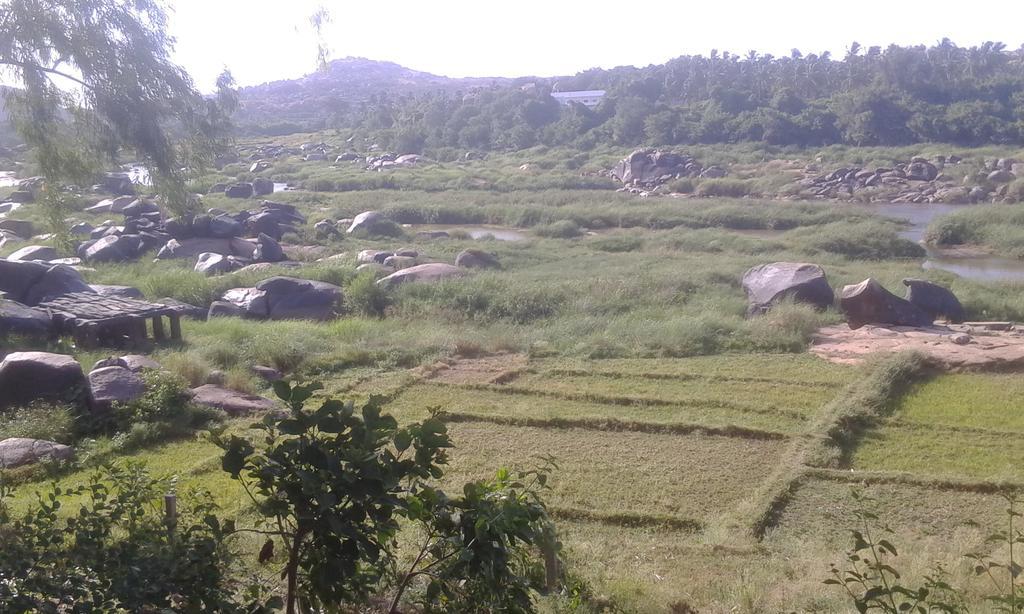 Golden Garden Hampi Hotel Luaran gambar